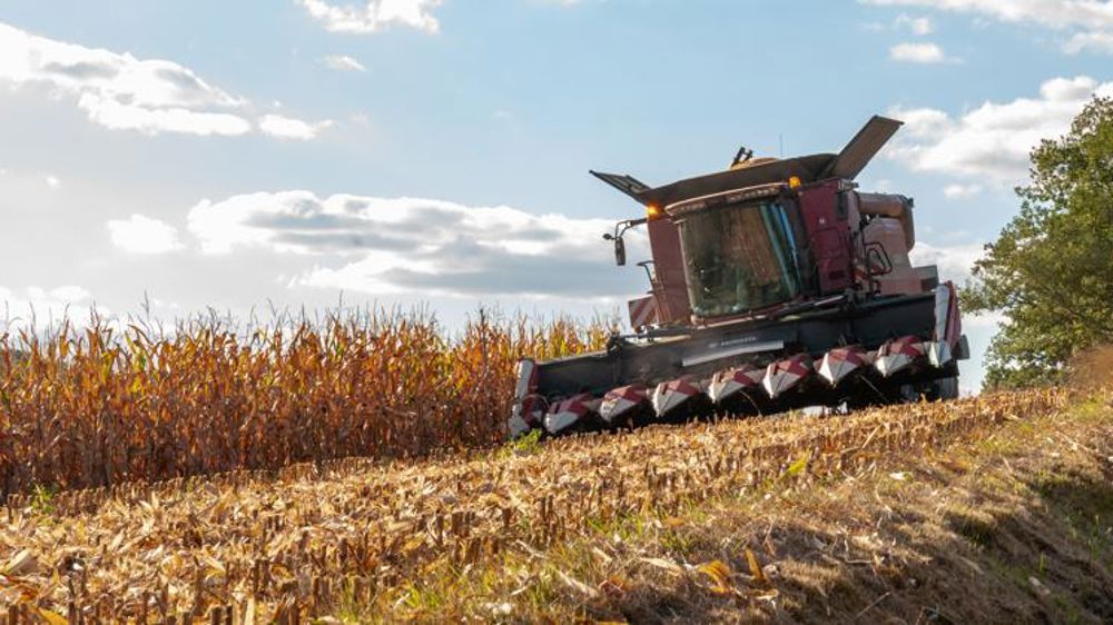 La sécheresse stimule les exportations françaises de maïs