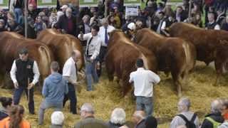 Les syndicats envisagent des alternatives Les syndicats envisagent des alternatives