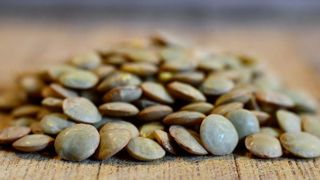 Des rendements catastrophiques pour la lentille verte Des rendements catastrophiques pour la lentille verte