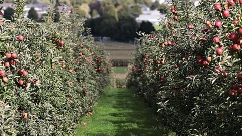 « On met en péril notre capacité à produire » « On met en péril notre capacité à produire »