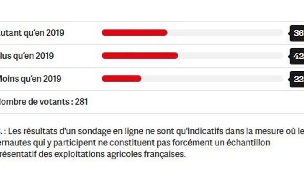 Le blé tendre garde sa place dans les assolements