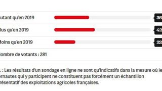 Le blé tendre garde sa place dans les assolements Le blé tendre garde sa place dans les assolements
