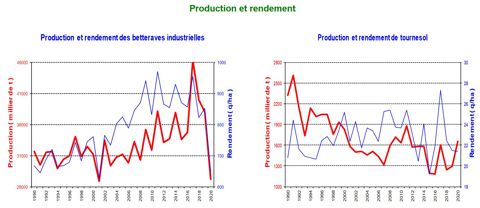 Estimations de la production et du rendement pour la betterave (gauche) et le tournesol (droite) au 1er novembre 2020. Source : Agreste.