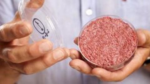 Quand la viande cellulaire se cache derrière L214 Quand la viande cellulaire se cache derrière L214