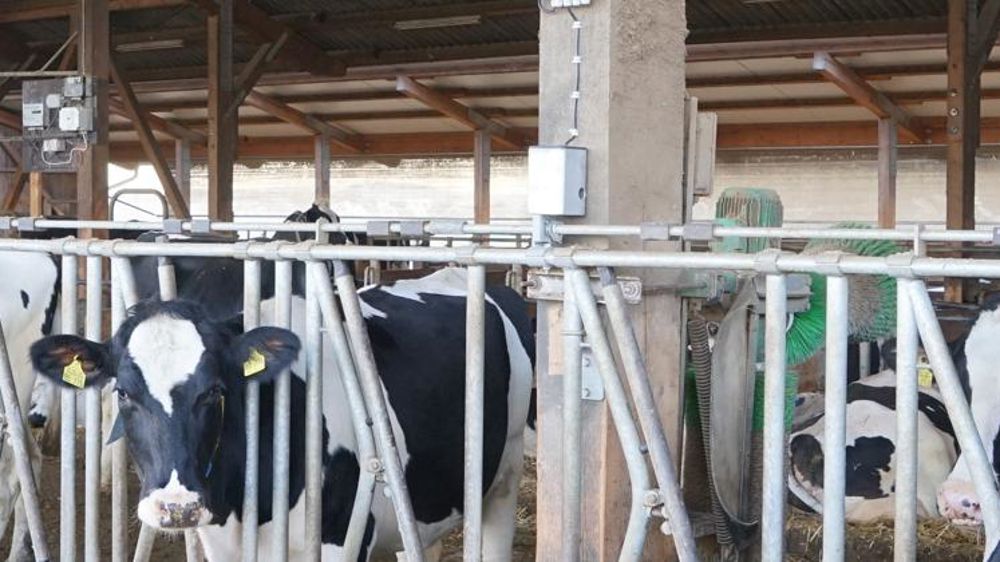 Un cornadis piloté à distance