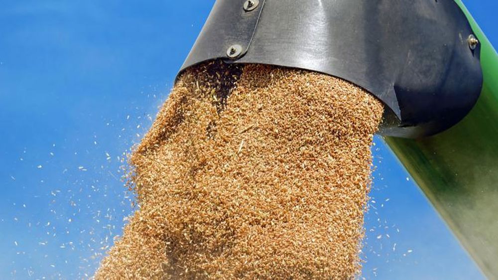 La récolte russe de céréales proche de son record de 2017