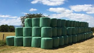 Le recyclage des films agricoles se développe Le recyclage des films agricoles se développe