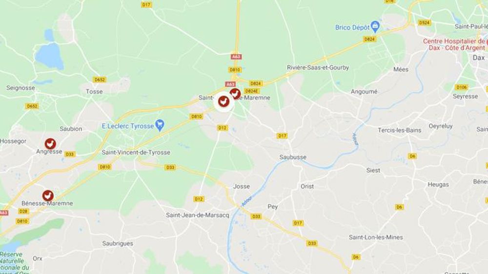 Un quatrième élevage touché par la grippe aviaire dans les Landes