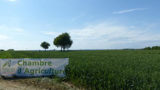 Trente recommandations pour améliorer l’action des chambres d’agriculture Trente recommandations pour améliorer l’action des chambres d’agriculture