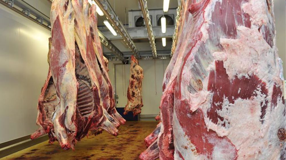 Les États peuvent imposer l’étourdissement dans l’abattage rituel