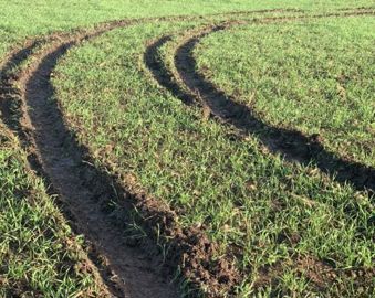 Le véhicule 4x4 a laissé derrière lui des traces de roues sur 10 hectares. © Le Masle
