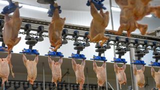 La Chine ferme ses portes à la volaille française La Chine ferme ses portes à la volaille française