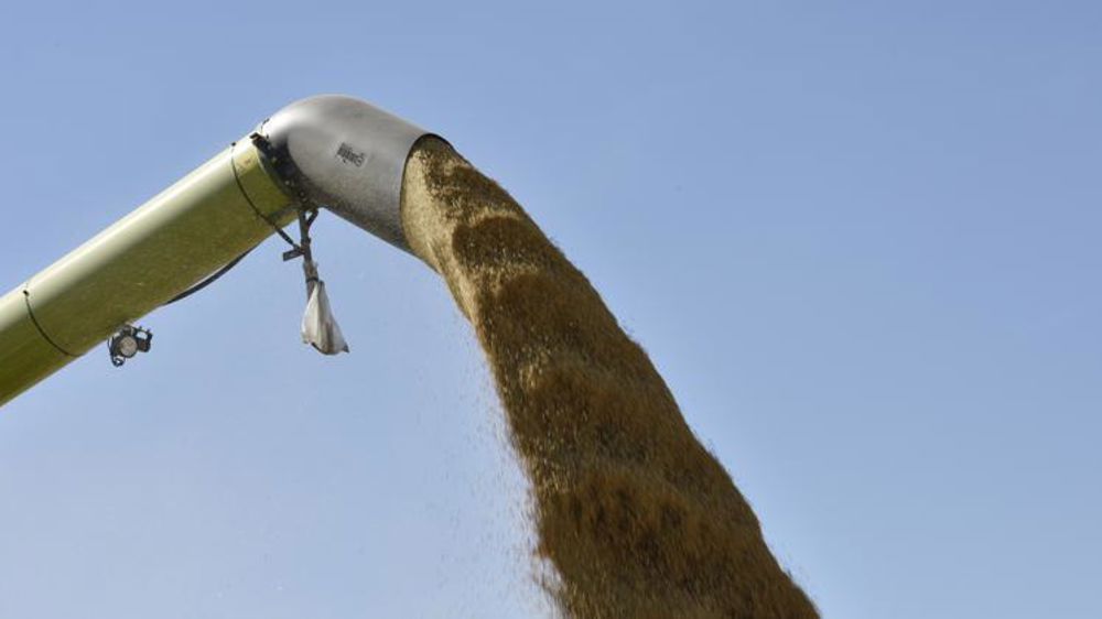 La hausse continue puis s’essouffle en fin de semaine