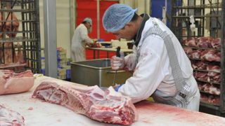 Culture Viande et Fedev se regroupent Culture Viande et Fedev se regroupent