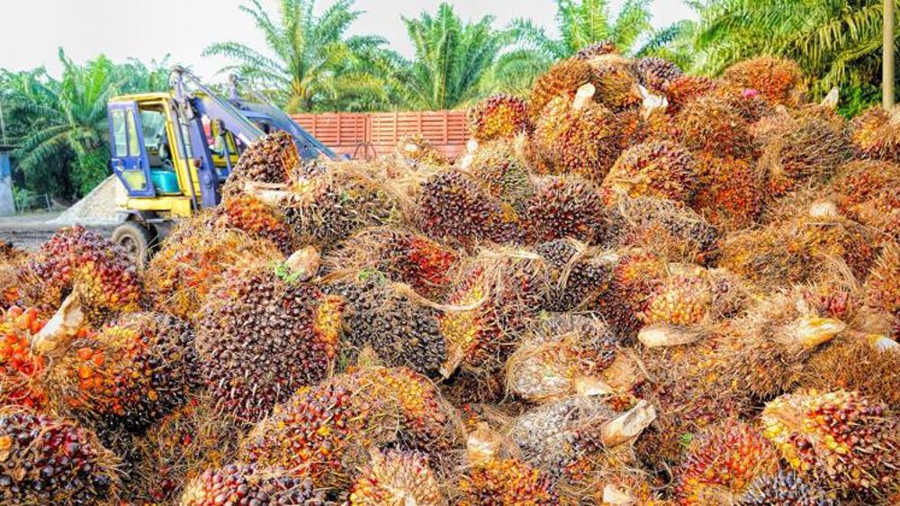 La Malaisie saisit l’OMC au sujet des mesures européennes