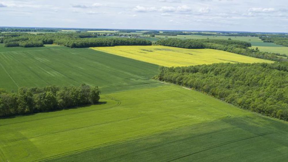 Une aide pour les propriétaires de forêts
