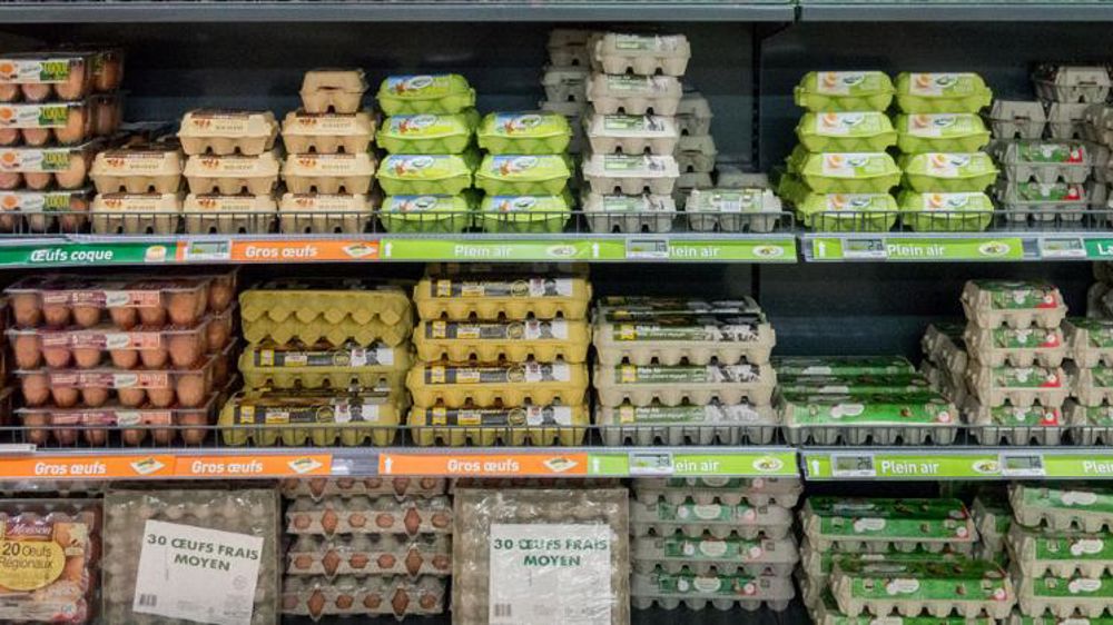 Colère dans l’œuf