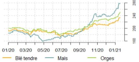 Les cours des céréales continuent leur progression au début de l’année 2021. © CIC