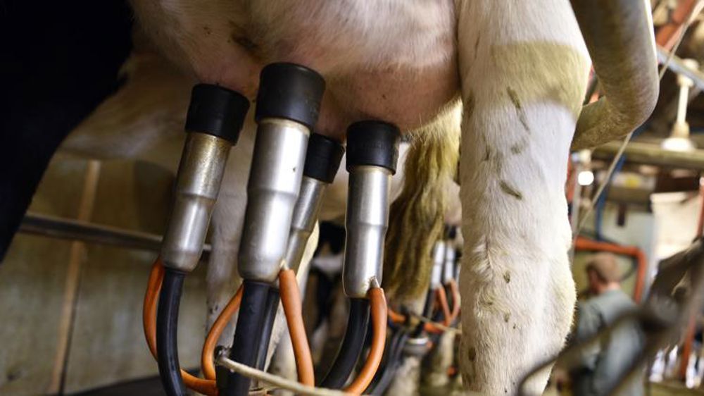 Coup de rabot sur le prix du lait en 2020