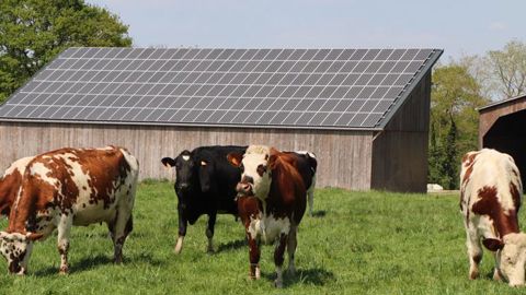 Deux appels d’offres pour le solaire agricole Deux appels d’offres pour le solaire agricole