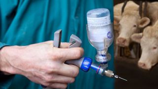 Un vétérinaire entre au conseil scientifique Covid-19 Un vétérinaire entre au conseil scientifique Covid-19