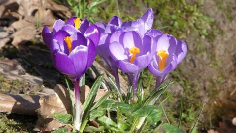 Comme un air de printemps
