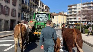 Après la sécheresse, les éleveurs se sentent abandonnés par l’État Après la sécheresse, les éleveurs se sentent abandonnés par l’État