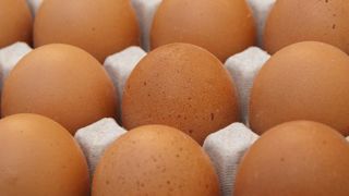 Des dérogations d’étiquetage à cause de la grippe aviaire Des dérogations d’étiquetage à cause de la grippe aviaire