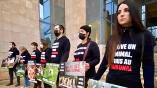 Activistes animalistes, tous les coups sont permis Activistes animalistes, tous les coups sont permis