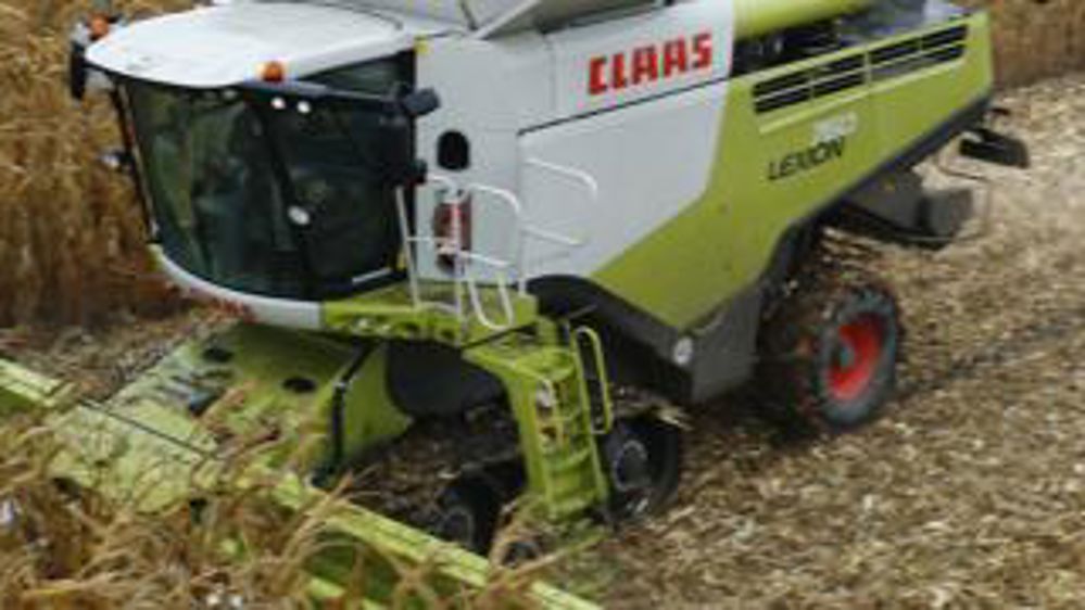 Les cueilleurs Corio entrent en scène