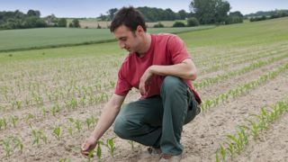 Les élections régionales, un enjeu fort pour l’agriculture Les élections régionales, un enjeu fort pour l’agriculture