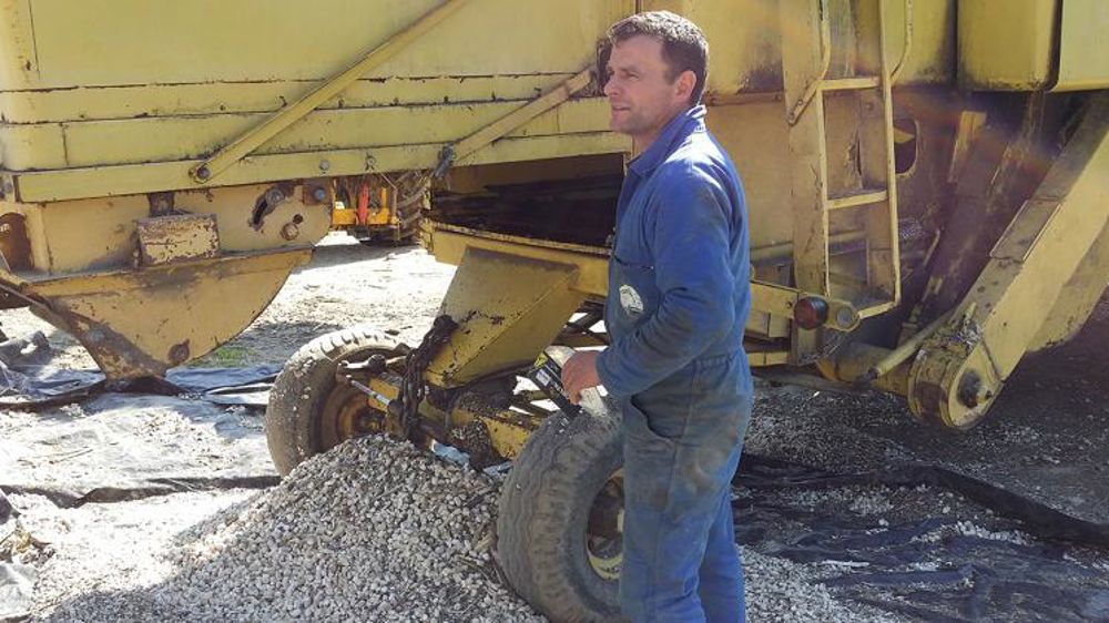 Du tournesol pour l’isolation