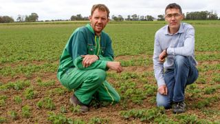 Des agriculteurs testent des variétés québécoises de soja Des agriculteurs testent des variétés québécoises de soja