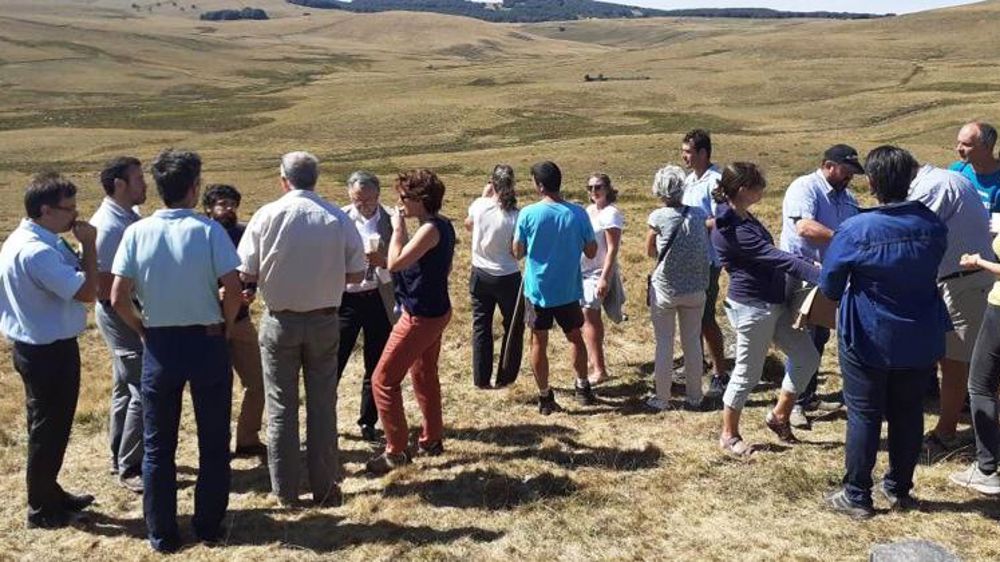 Les éleveurs veulent réguler les vautours