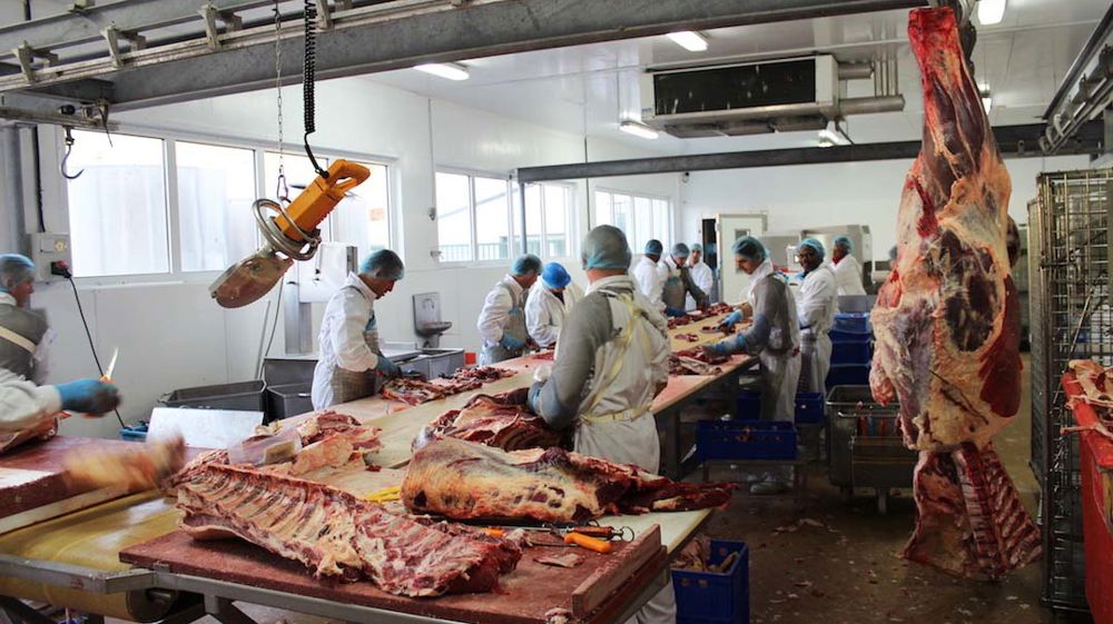 Les antispécistes n’auront pas le dernier mot