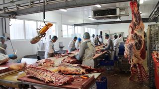Les antispécistes n’auront pas le dernier mot Les antispécistes n’auront pas le dernier mot