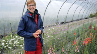 Une reconversion en « agrifleuriste » Une reconversion en « agrifleuriste »