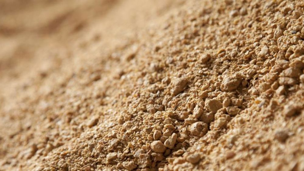 Les prix du soja au plus haut depuis 2014