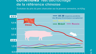 Le marché du porc européen s’encombre Le marché du porc européen s’encombre
