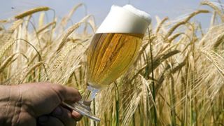 La géopolitique pèse sur les marchés de l’orge brassicole La géopolitique pèse sur les marchés de l’orge brassicole