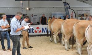Le classement des animaux était assuré par le président de jury Christophe Baribault (Deux-Sèvres) et les juges Dominique Bourasseau (Vendée) et Julien Caillon (Deux-Sèvres). Ces derniers ont souligné que les animaux étaient soigneusement préparés et bien dressés. Le classement des animaux était assuré par le président de jury Christophe Baribault (Deux-Sèvres) et les juges Dominique Bourasseau (Vendée) et Julien Caillon (Deux-Sèvres). Ces derniers ont souligné que les animaux étaient soigneusement préparés et bien dressés.