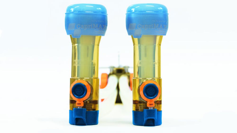 Des faisceaux de traite pour ovins et caprins