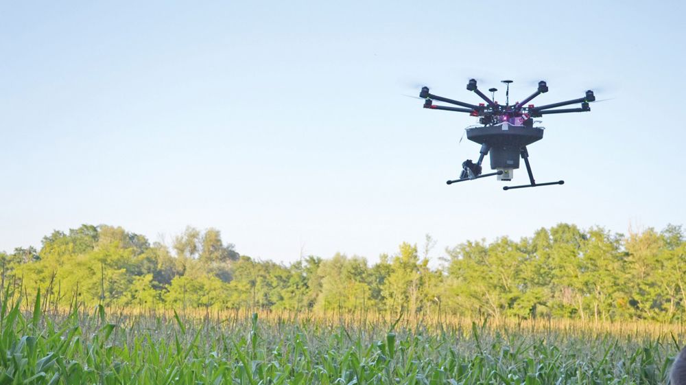 Le biocontrôle, un marché en progression de 15 à 20 % par an