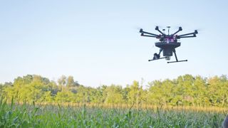 Le biocontrôle, un marché en progression de 15 à 20 % par an Le biocontrôle, un marché en progression de 15 à 20 % par an