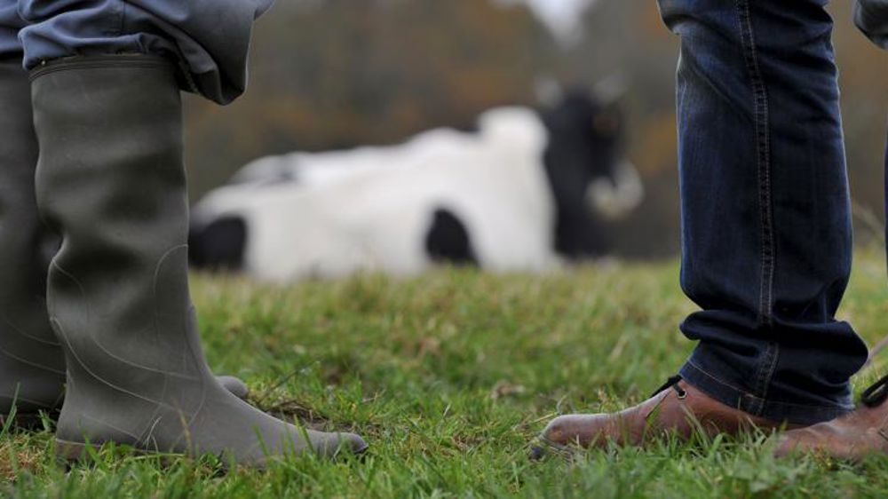 Savencia condamnée pour des irrégularités sur le prix du lait