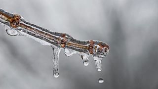 Le retour du froid et du gel dès la semaine prochaine Le retour du froid et du gel dès la semaine prochaine