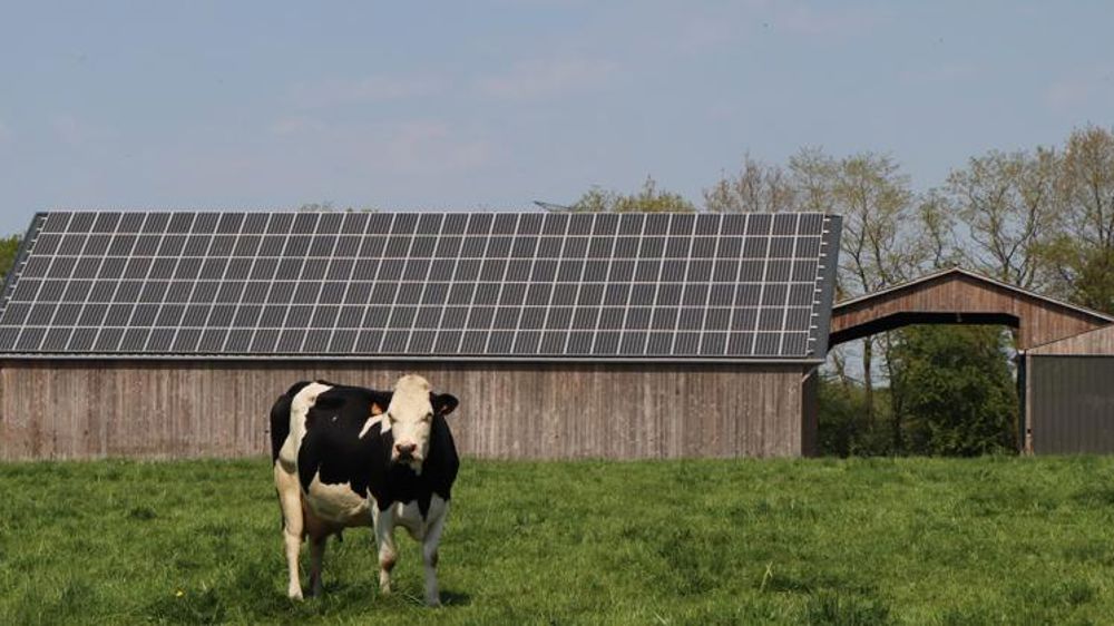 Une baisse limitée des tarifs d’achat