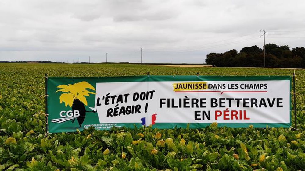 La filière de la betterave sonne l’alarme