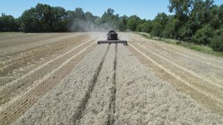 Une année agricole 2021 sauvée par la hausse des prix Une année agricole 2021 sauvée par la hausse des prix