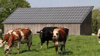 La prise en compte de l’inflation dans la formule de calcul du tarif d’achat de l’électricité photovoltaïque conduit à une hausse de prix. Par ailleurs, le tarif contractualisé pourra augmenter dans les douze mois qui suivent la demande de raccordement. La prise en compte de l’inflation dans la formule de calcul du tarif d’achat de l’électricité photovoltaïque conduit à une hausse de prix. Par ailleurs, le tarif contractualisé pourra augmenter dans les douze mois qui suivent la demande de raccordement.